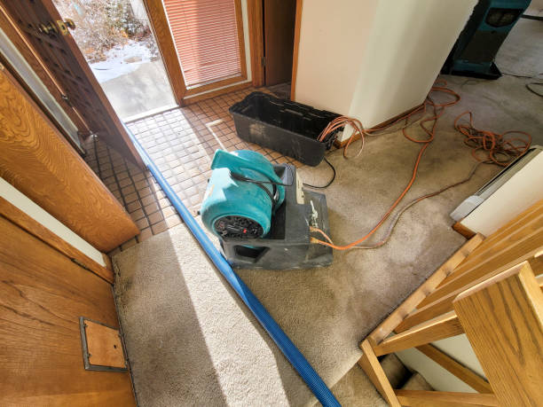 Best Fire Damage Restoration  in Sibley, LA