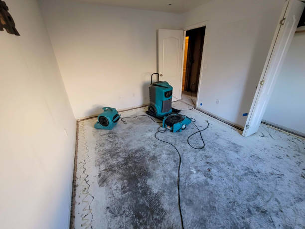 Best Water damage restoration near me  in Sibley, LA