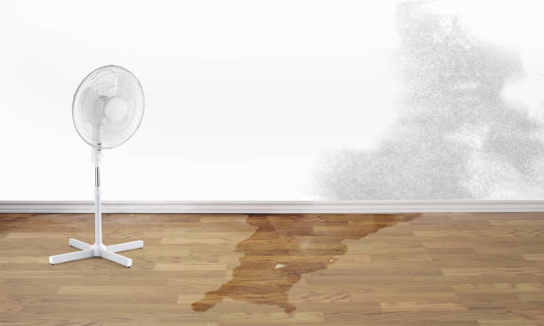 Best Flood restoration services  in Sibley, LA
