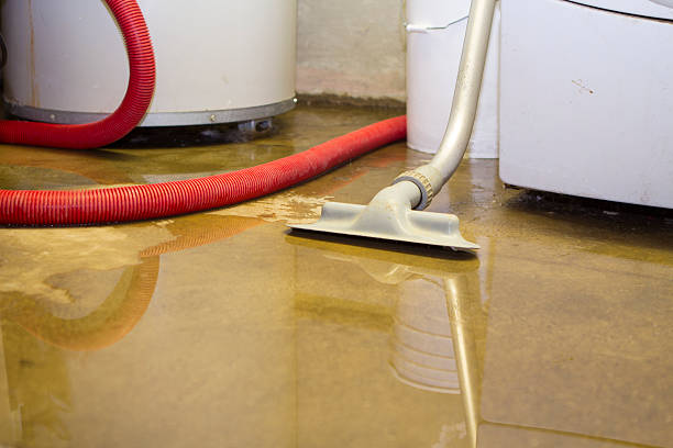 Best 24-hour water damage restoration  in Sibley, LA
