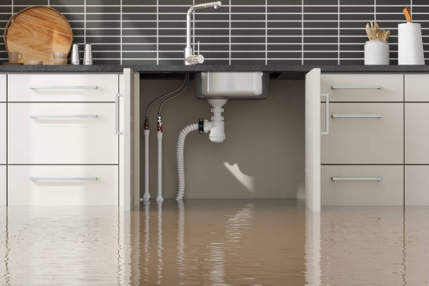 Best Professional water damage repair  in Sibley, LA