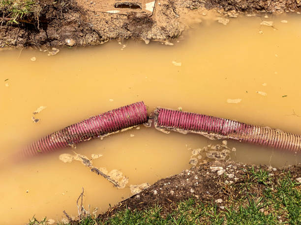 Best Water damage restoration near me  in Sibley, LA