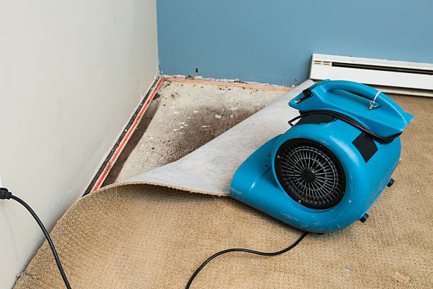 Best Water damage restoration near me  in Sibley, LA